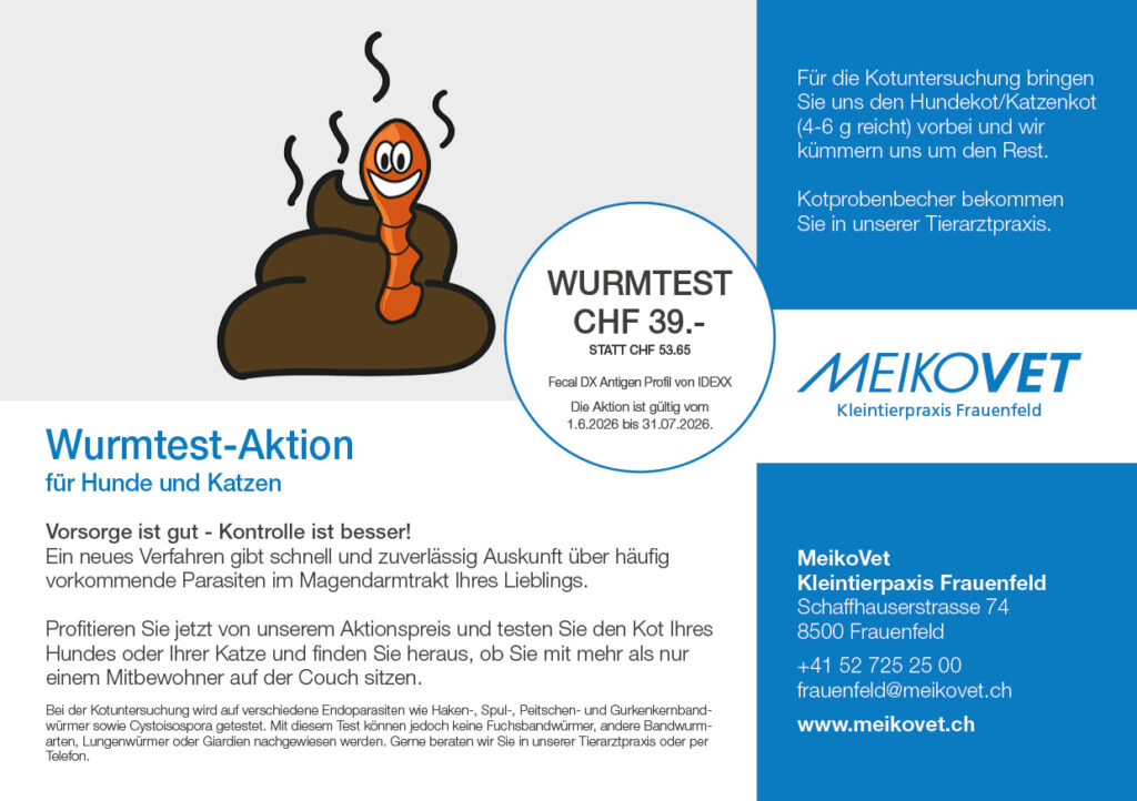Wurmtest Aktion A5 quer Frauenfeld