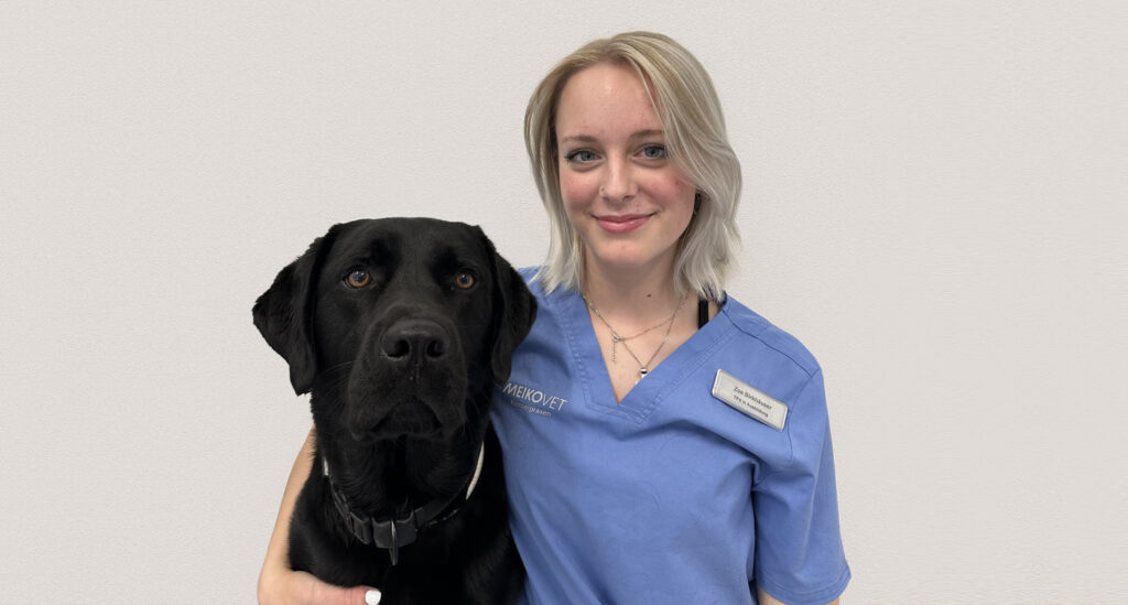 Zoe Birkhaeuser Tiermedizinische Praxisassistentin in Ausbildung Meikovet Kleintierpraxis Hinwil