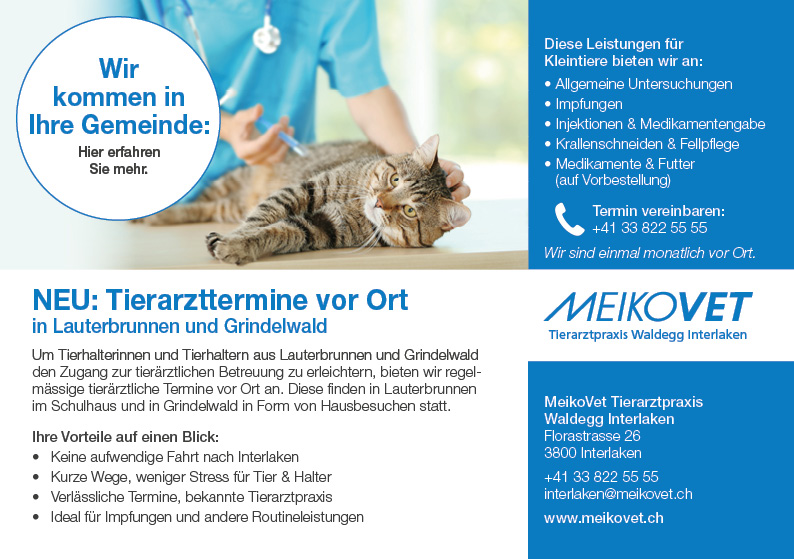 Angebot Tierarzt in Grindelwald Lauterbrunnen webseite