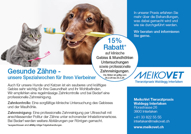 Zahnaktion A5 quer Interlaken 26 web