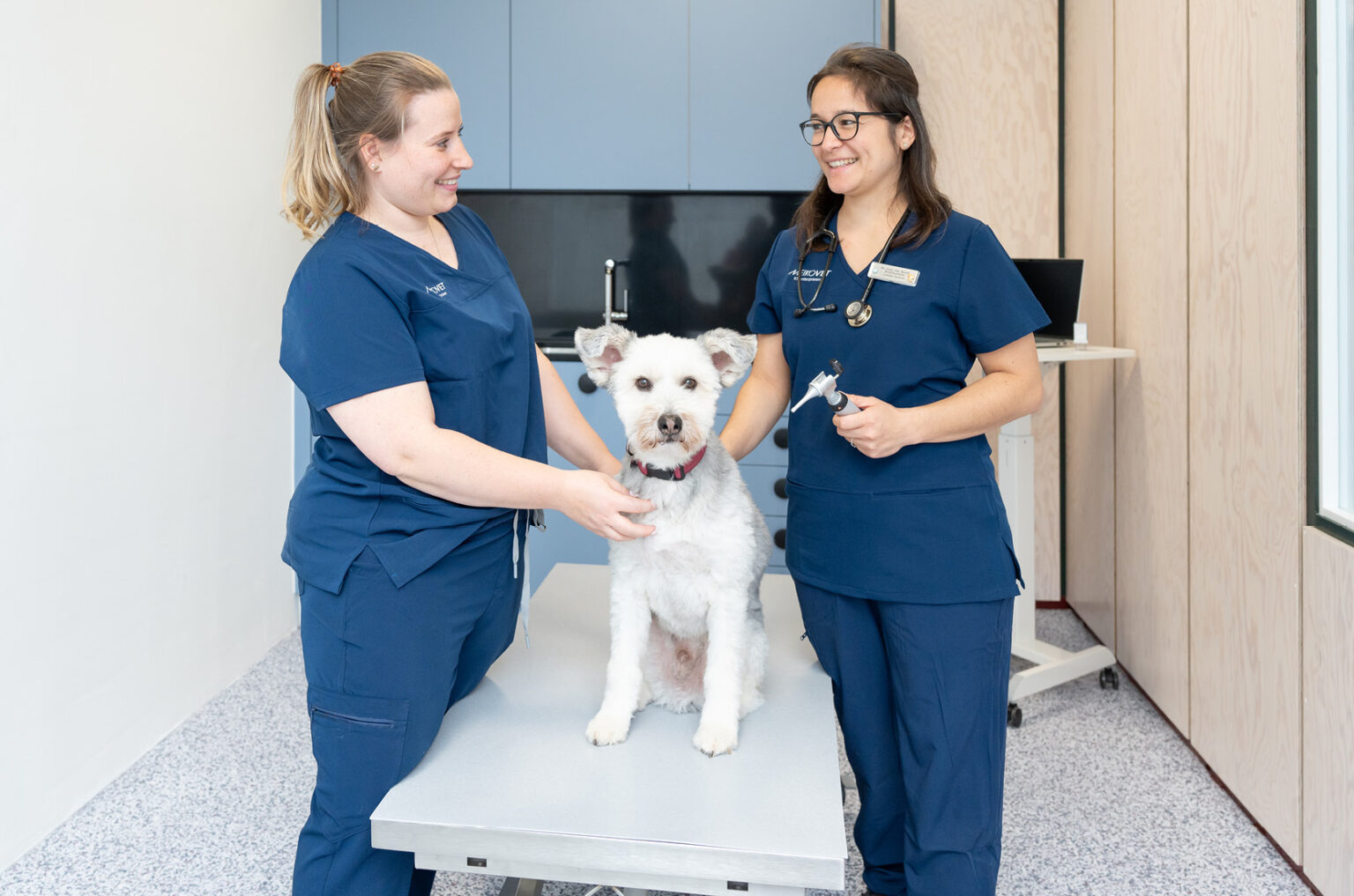 MeikoVet-Kleintierpraxis-Dietikon