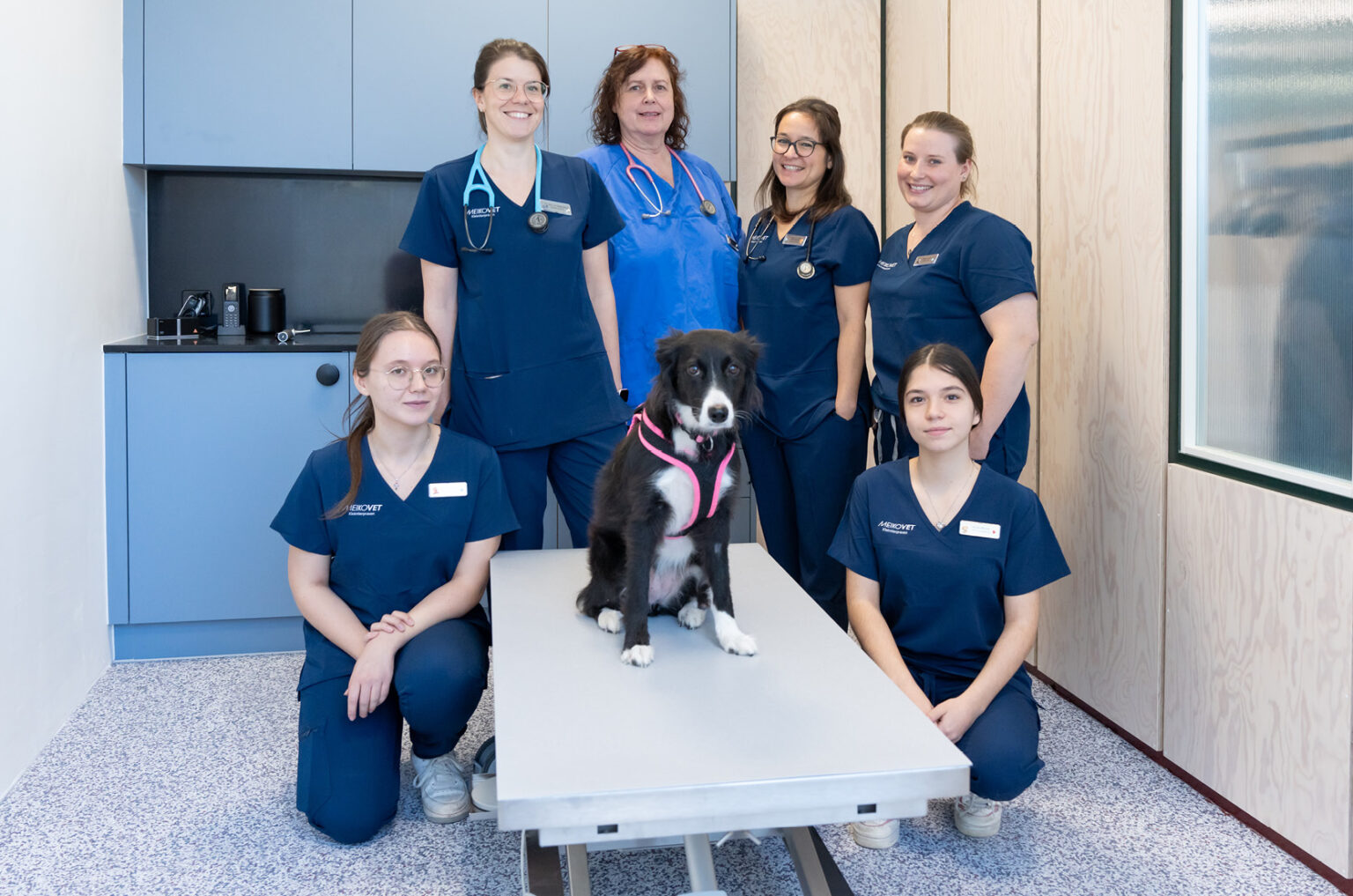 MeikoVet-Kleintierpraxis-Dietikon-Tierarzt-Team