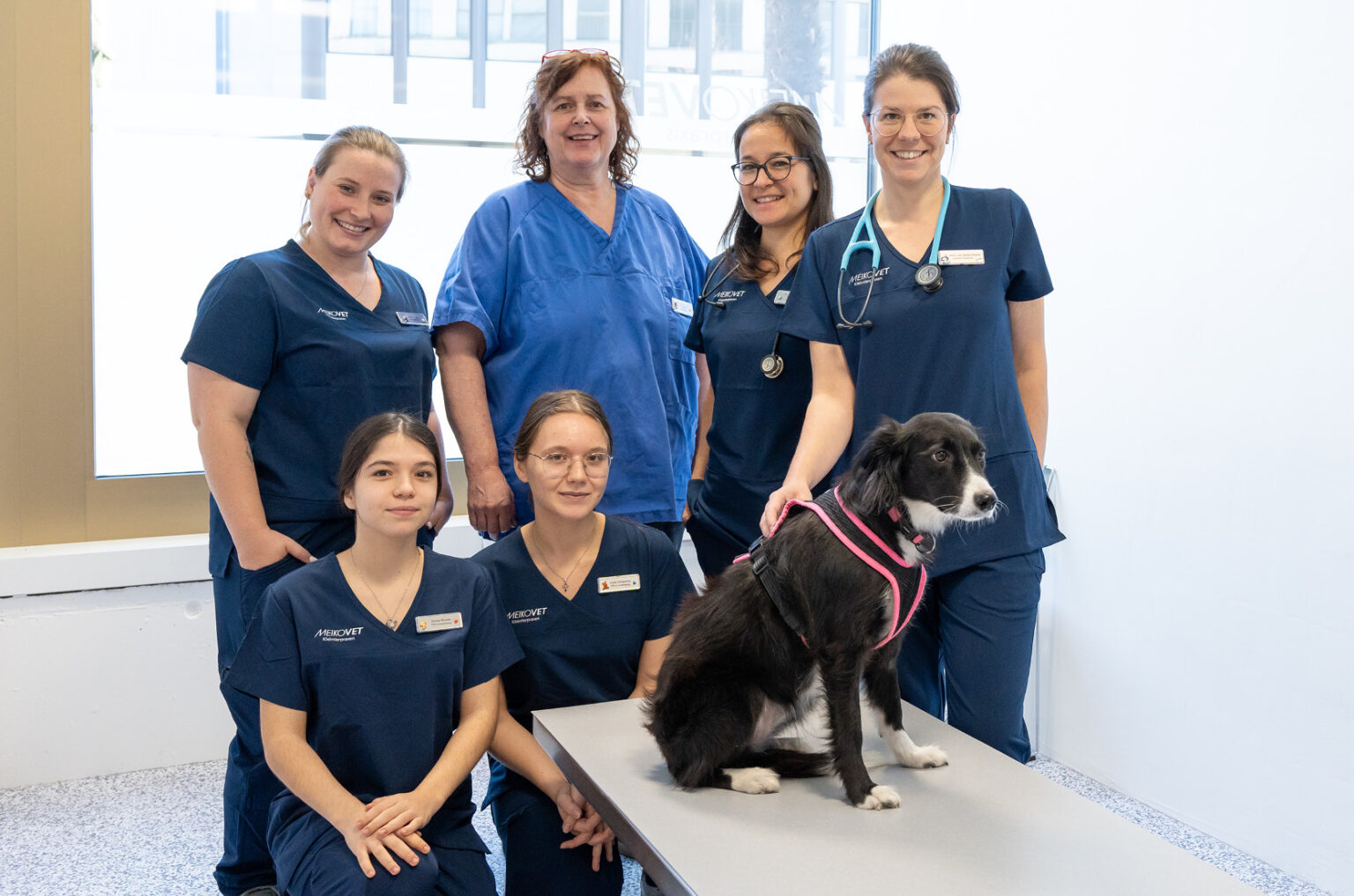 MeikoVet-Kleintierpraxis-Dietikon-Tierarzt-Teamfoto