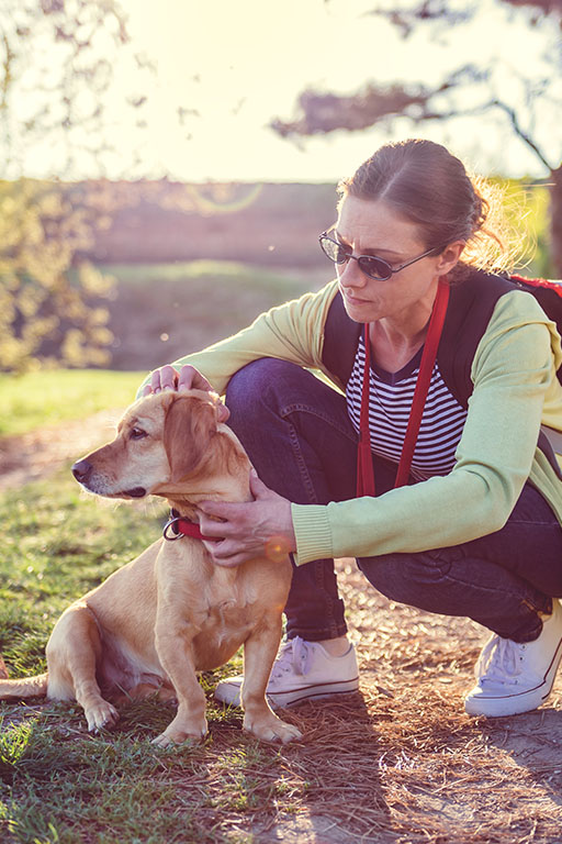 Zeckenprophylaxe beim hund