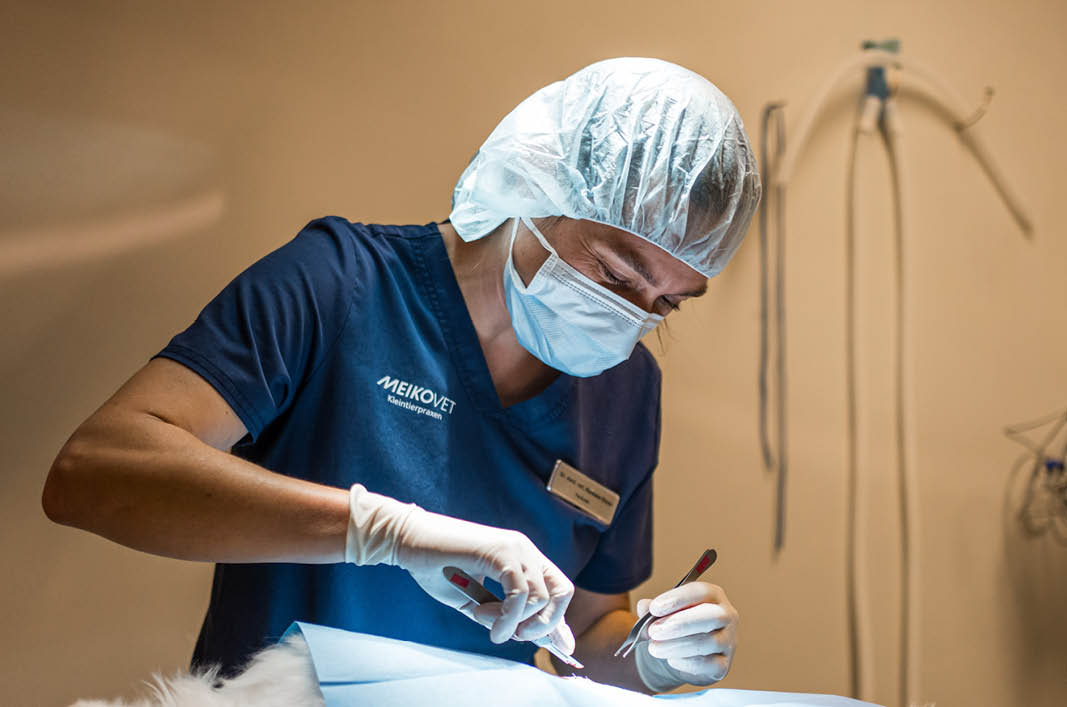 MeikoVet-Kleintierpraxis-Ittigen-Talgutzentrum-Tierarzt-Operationsraum