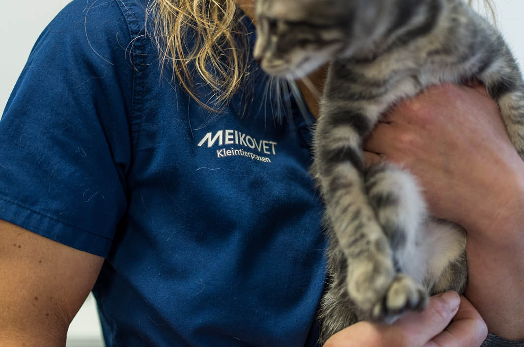 MeikoVet-Kleintierpraxis-Ittigen-Talgutzentrum-Tierarzt