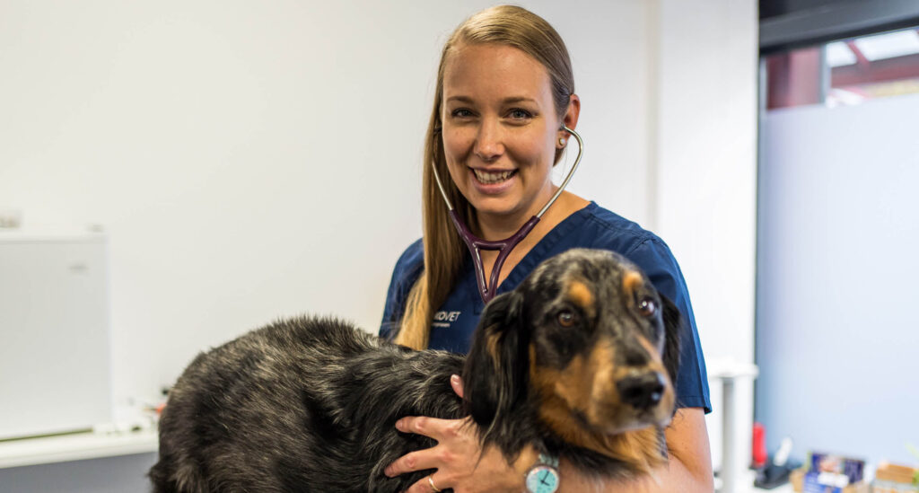 Nathalie Rordorf Leitende Tieraerztin MeikoVet Kleintierpraxis Ittigen Talgutzentrum