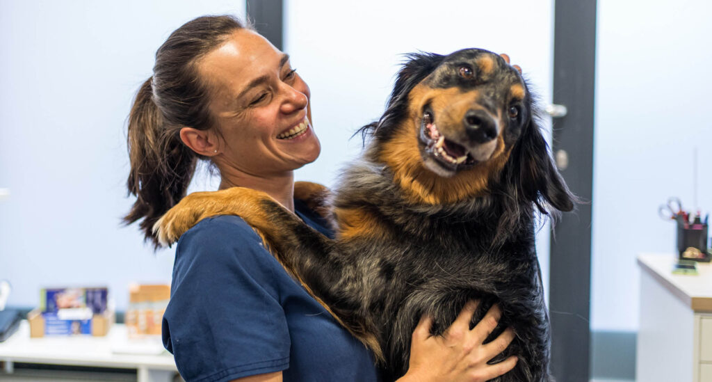 Ramona Deiss Tieraerztin MeikoVet Kleintierpraxis Ittigen Talgutzentrum