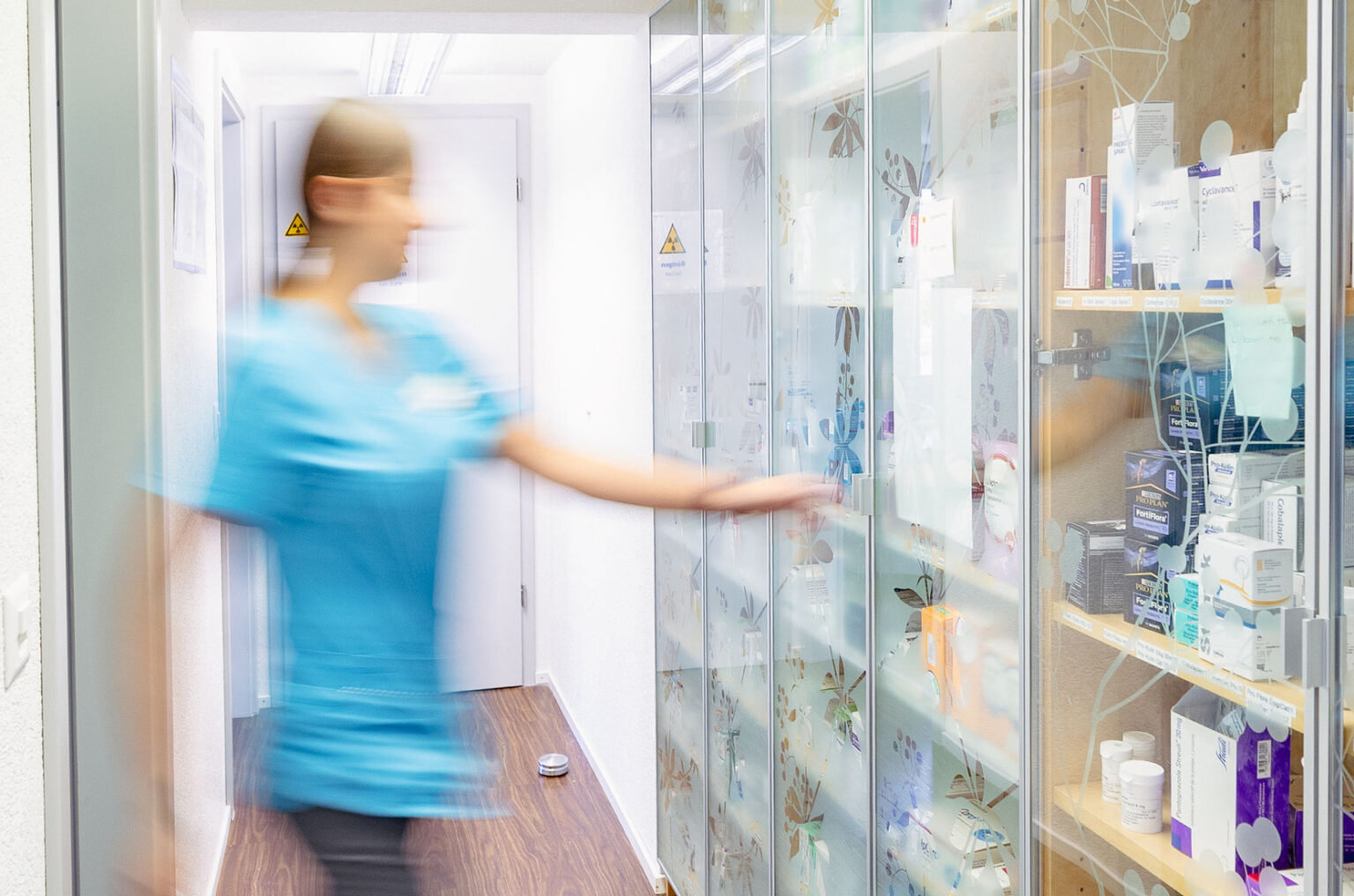 MeikoVet Kleintierpraxis Waldegg Interlaken Tierarzt