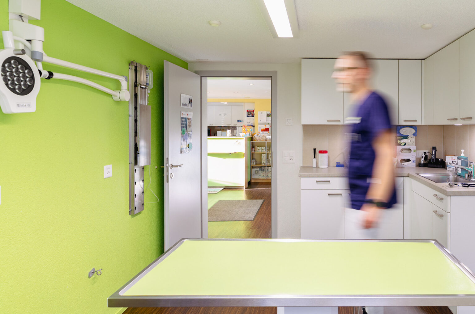 MeikoVet Kleintierpraxis Waldegg Interlaken Tierarzt 2