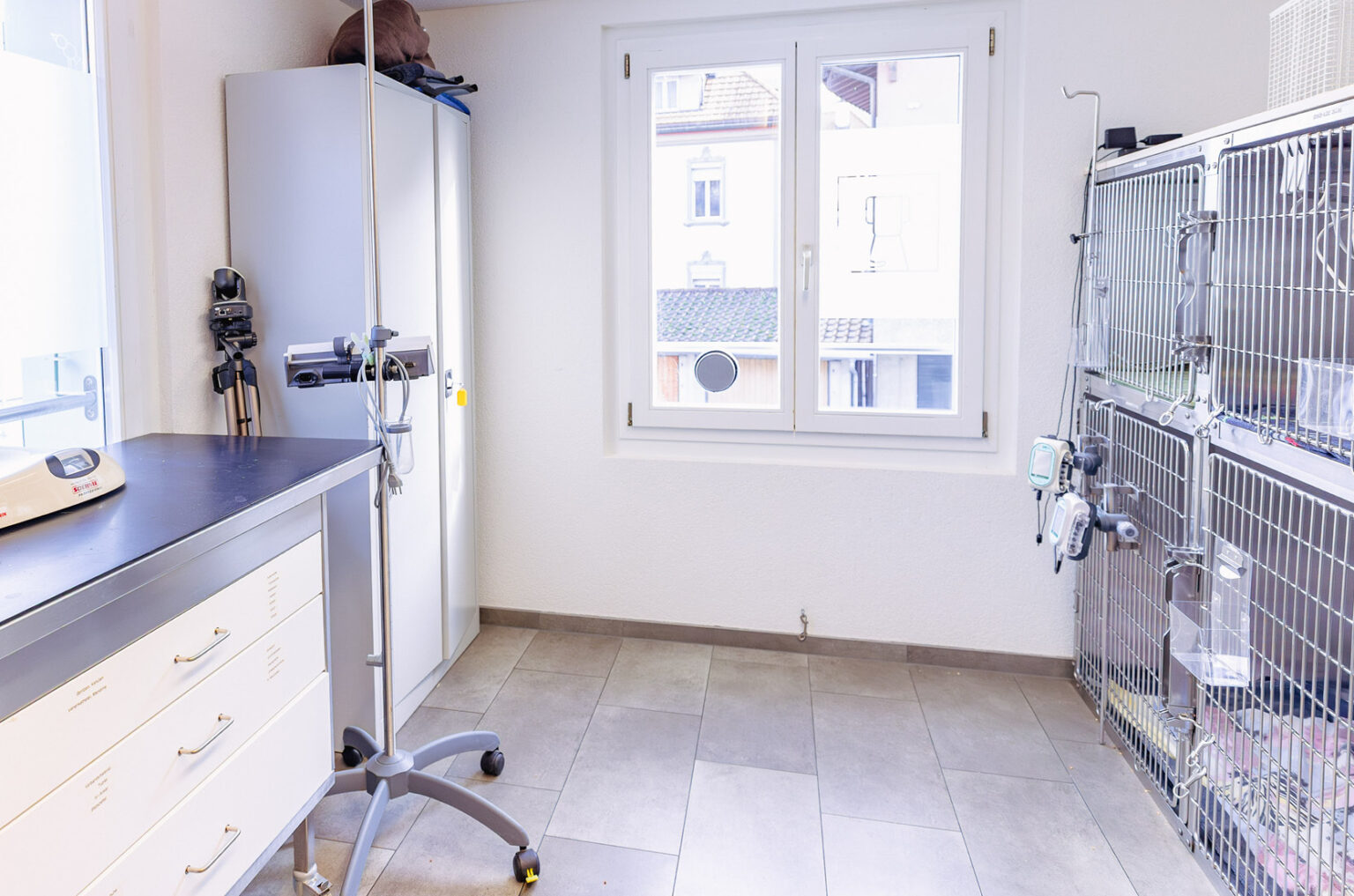 MeikoVet Kleintierpraxis Waldegg Interlaken Tierarzt 4