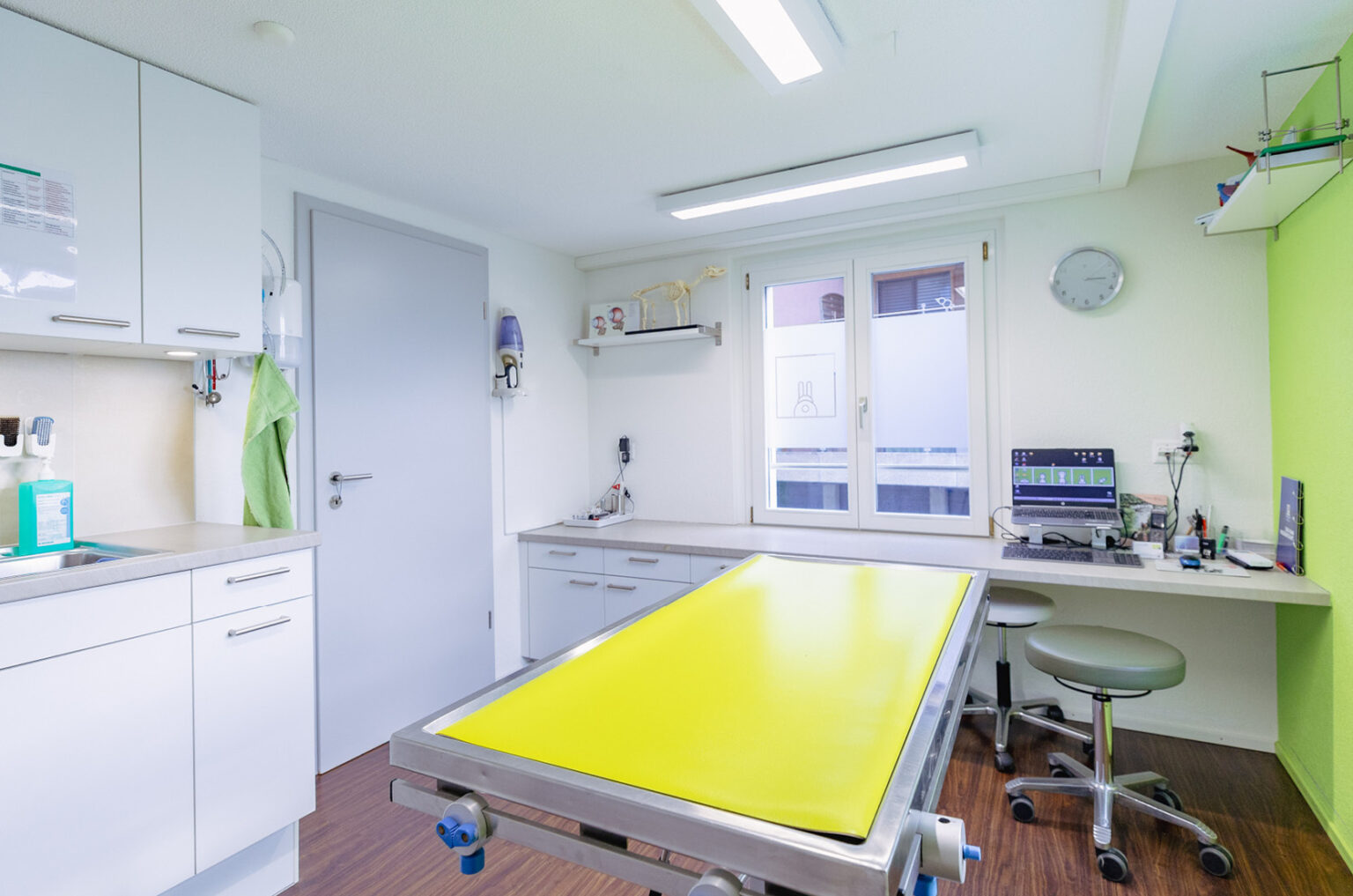 MeikoVet Kleintierpraxis Waldegg Interlaken Tierarzt 5