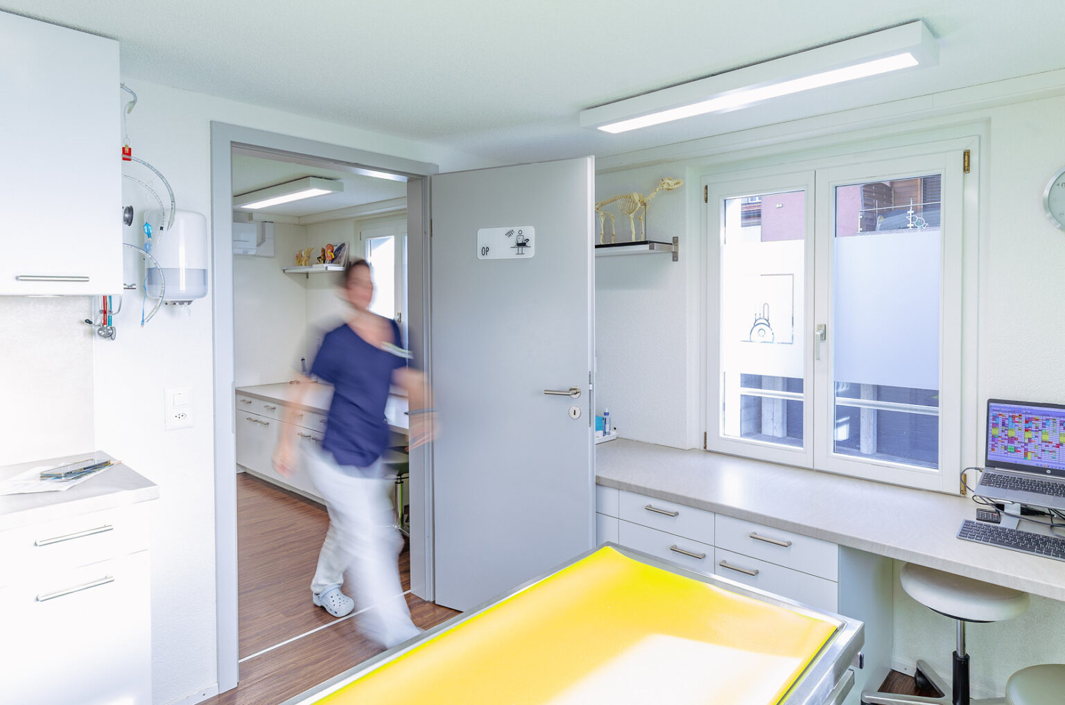 MeikoVet Kleintierpraxis Waldegg Interlaken Tierarzt 6