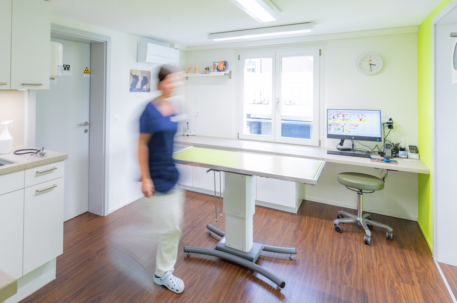 MeikoVet Kleintierpraxis Waldegg Interlaken Tierarzt 7