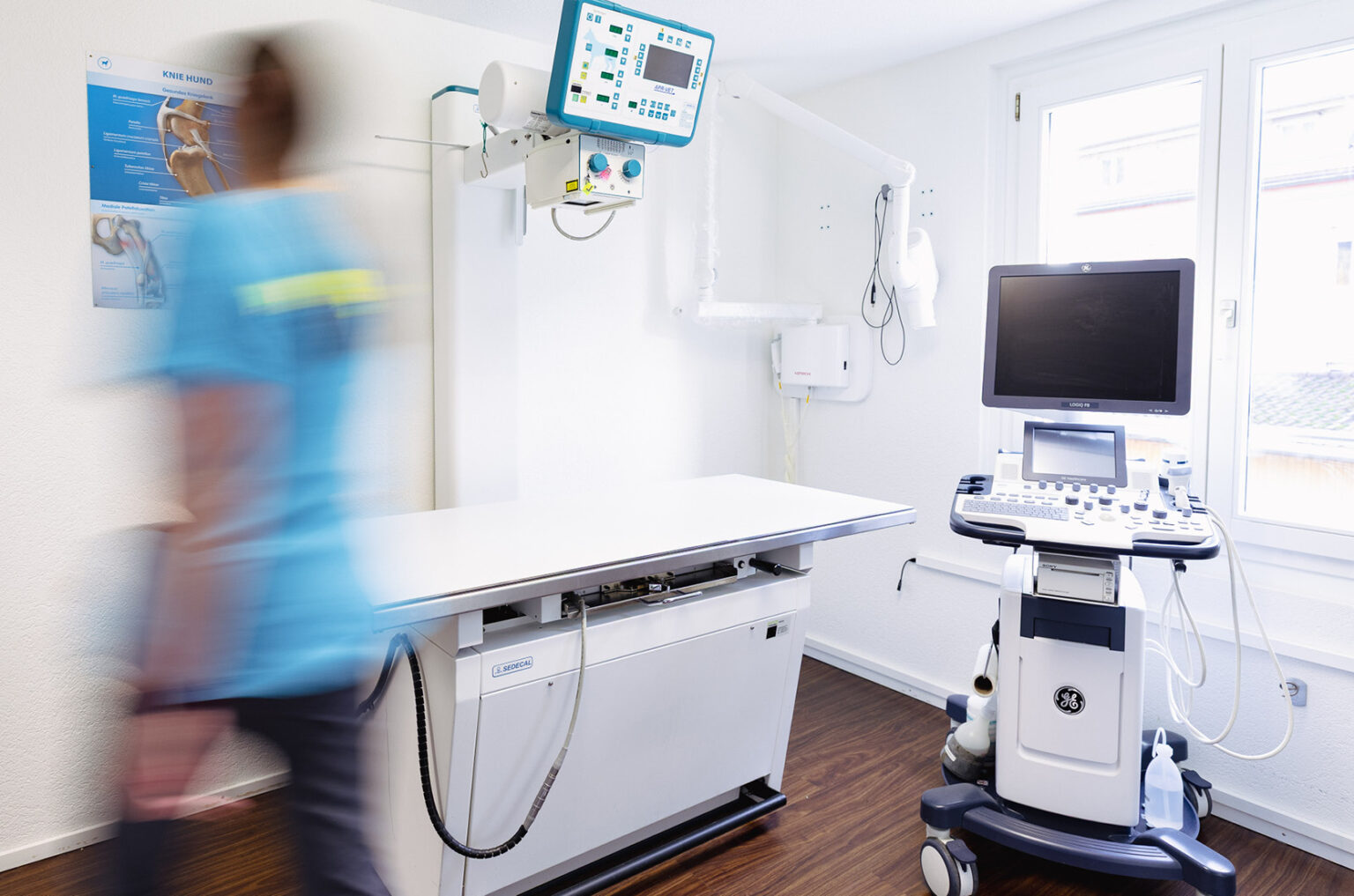 MeikoVet Kleintierpraxis Waldegg Interlaken Tierarzt 8